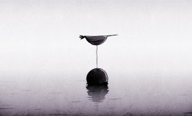 woiseaux